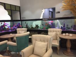 点击看大图 -可爱多国际儿童摄影会馆(龙泉店)