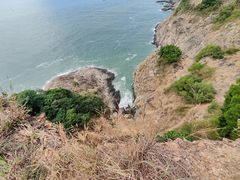 -西涌国际滨海旅游区