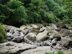 -龙苍沟森林公园