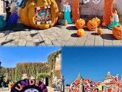 -大连海昌发现王国主题公园