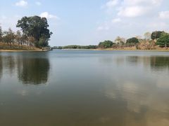 -松山湖南湖湾露营营地