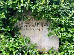 -The Grounds of Alexandria