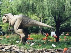 -北京野生动物园