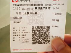 -中影大导演巨幕影城(深圳西乡店)