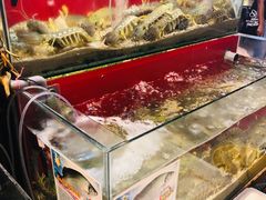 -大树下海鲜饭店