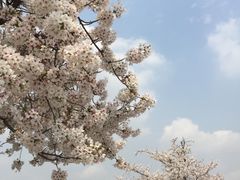 -中国浦东干部学院