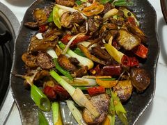 -蘑统田下·野生菌火锅