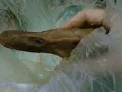 -久久丫鸭脖(金鸡湖欧尚店)