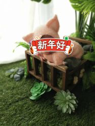 -玛瑞莎·儿童·亲子摄影(越秀店)