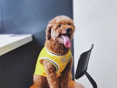 -南丰汇(新港东路店)