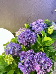 -花隐·美芙炫海菲秀皮肤管理中心