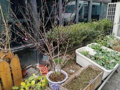 -随柳居·苏式小吃(建新巷店)