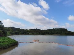 -广东花都湖国家湿地公园