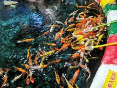 -顺德南宏海立方海洋公园