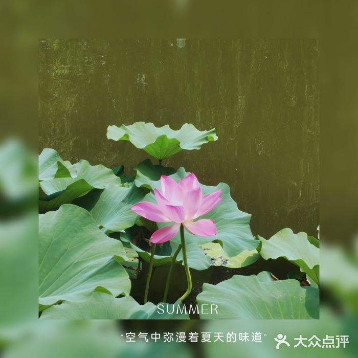 八大处公园图片