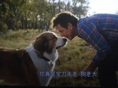 -CGV影城(滨江天街IMAX店)