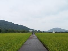 -艾米稻香小镇