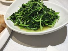 蒜蓉鸡毛菜-北李妈妈菜·海肠捞饭(高新万达店)