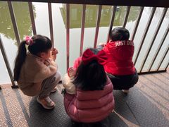 -老杨砂锅鱼庄