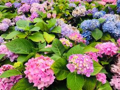 -苏州河梦清园环保主题公园