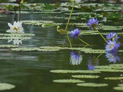 -国家植物园南园
