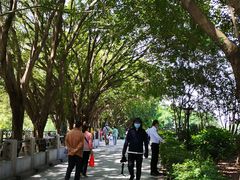 -黄埔古港