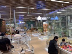 -小象动悟公园(龙湖亦庄天街店)