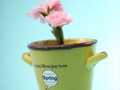 -托斯卡纳烘焙意大利餐厅(五天地店)