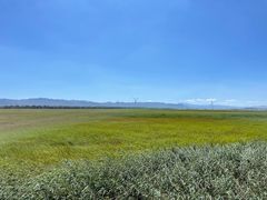 -野鸭湖国家湿地公园