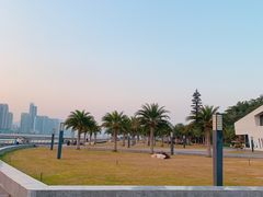 -野狸岛