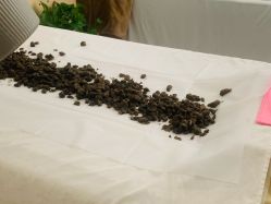 -姜美堂·蒸姜除湿の纤体美颜馆