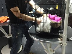 -佳百利宠物(荣乐中路115弄小区店)