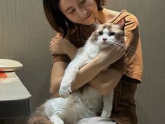 -立德动物医院·重症转诊·24H夜诊·CT·心脏彩超(顺德中心分院)