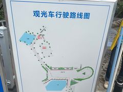 -广东惠东海龟国家级自然保护区