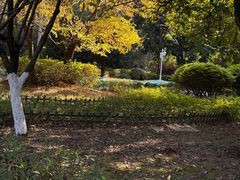 -金山公园