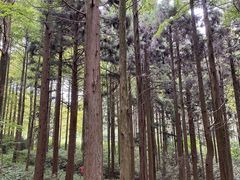 -罗田薄刀峰风景区