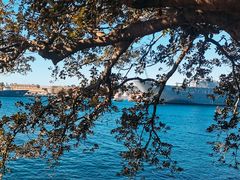 -麦考利夫人座椅