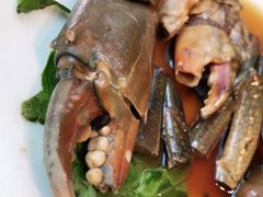 -高佳庄·舟山海鲜(海景旗舰店)