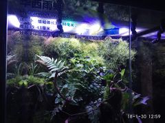 -萌宠奇缘