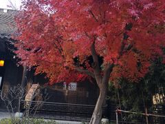 -浙江省博物馆(孤山馆区)