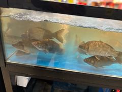 -卜蜂莲花(浦江城市生活广场店)