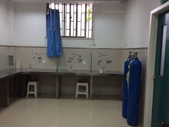 -康旭宠物医院(郑州总院)