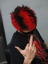 点击看大图 -GANO HAIR