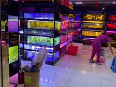 -中环花鸟鱼虫市场