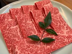 -然锅料理