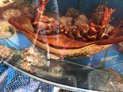 -渔中舟海鲜大排档(普陀沈家门店)