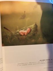 -爱儿美儿童摄影(五路居花园别墅店)