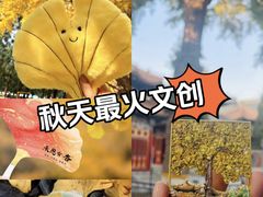 -承恩寺
