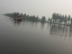 -白洋淀景区