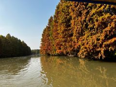 -上海海湾国家森林公园